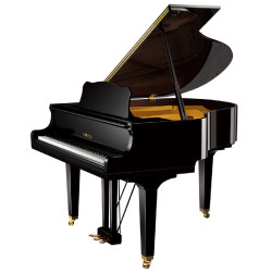 Рояль Yamaha DGN1-ENCL PE