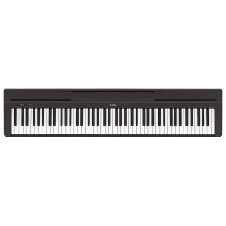 Цифровое пианино Yamaha P-48 B